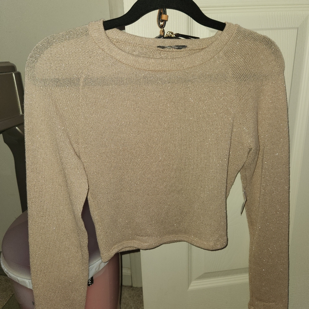 Charolette Russe mesh crop top